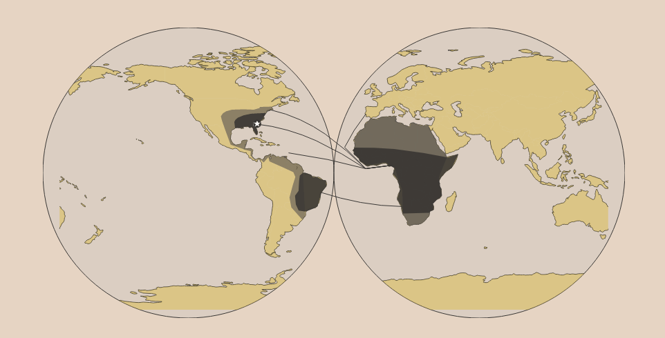 Du Bois Viz Challenge 2024: Plate 1